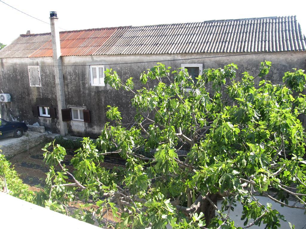 Hotel Petrcane Eksteriør billede